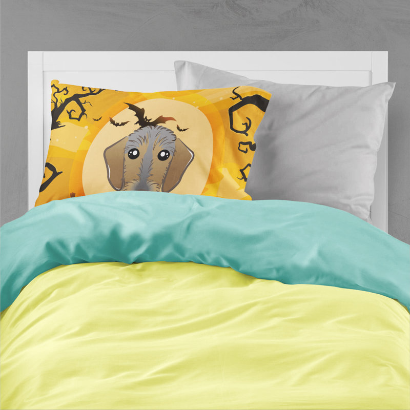 Microfiber, Wirehaired Dachshund