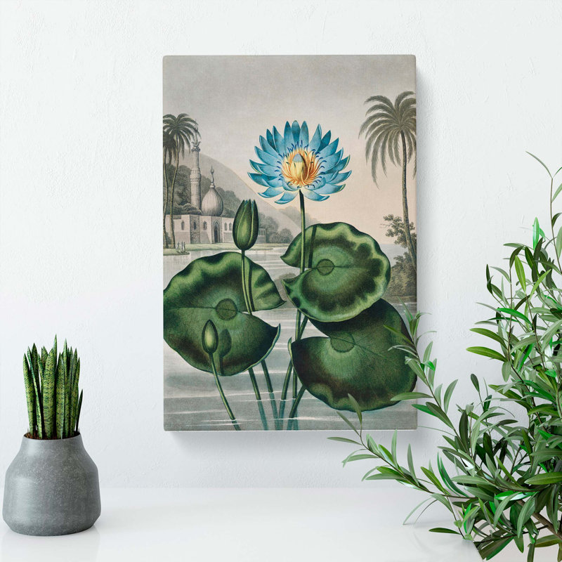 Blue Egyptian Water Lily by R.J. Thornton - Wrapped Canvas Painting, 50cm H x 35cm W x 3cm D
