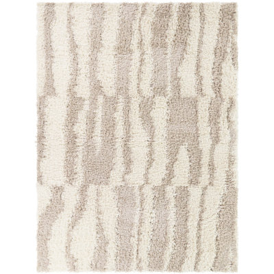 Demeter Cream/Taupe Abstract Shag Area Rug