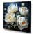 Wrapped Canvas