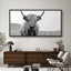 «Animals Highland Cow», portrait en noir et blanc sur toile-98042249-111176951
