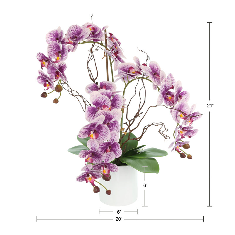 Modern Orchid Arrangement in Round Fiberstone Pot, Purple