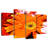 Harnek Dewy Orange Daisy