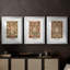 Ensemble de 3 pièces, de la série CCR-XXX de Wm Morris, impression personnalisée sur mesure matte-716144366-716144362