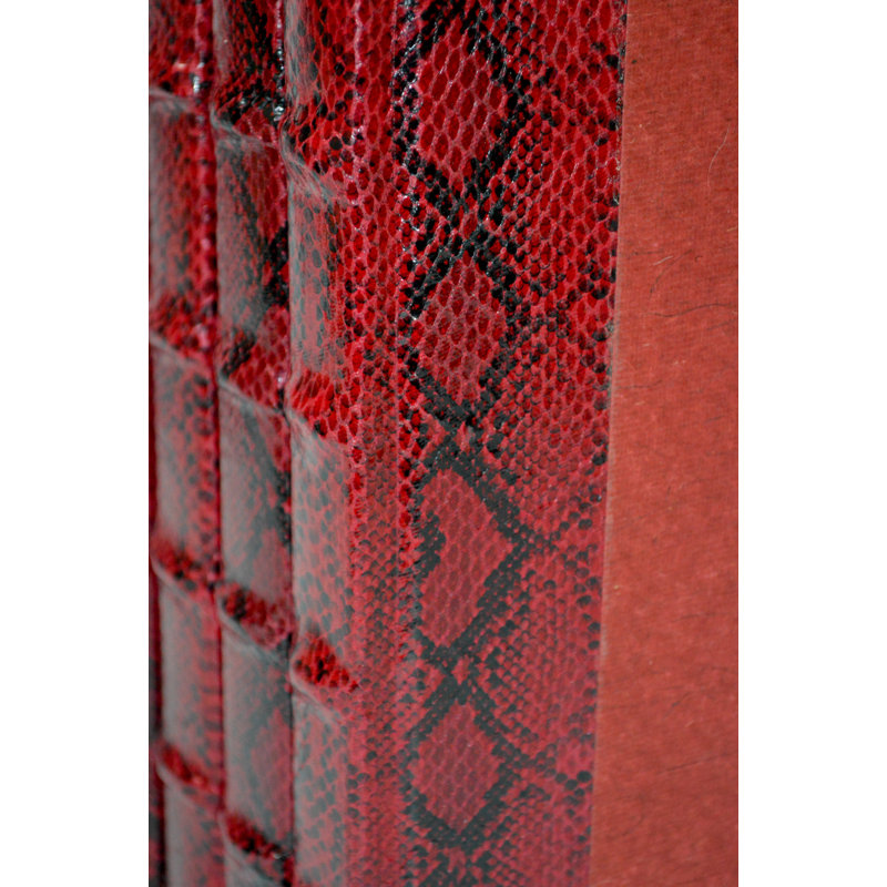 5 Piece Exotic Python Decorative Book Set