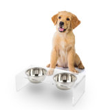Keaton Modern Lucite Rectangular Elevated Pet Feeder with 2-Stainless Steel Bowls