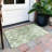 Aleighna Area Rug with Non-Slip Backing-1818958102