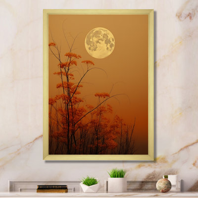 " Moon Honey Harvest Dreamscape "