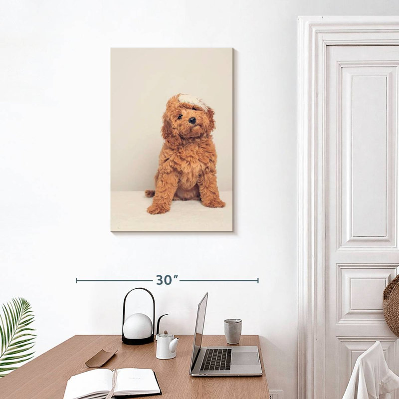 Cockapoo Puppy, 30" H x 20" W
