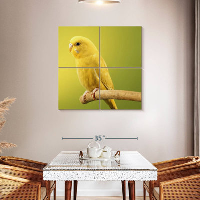 Brampt Perched Yellow Parakeet