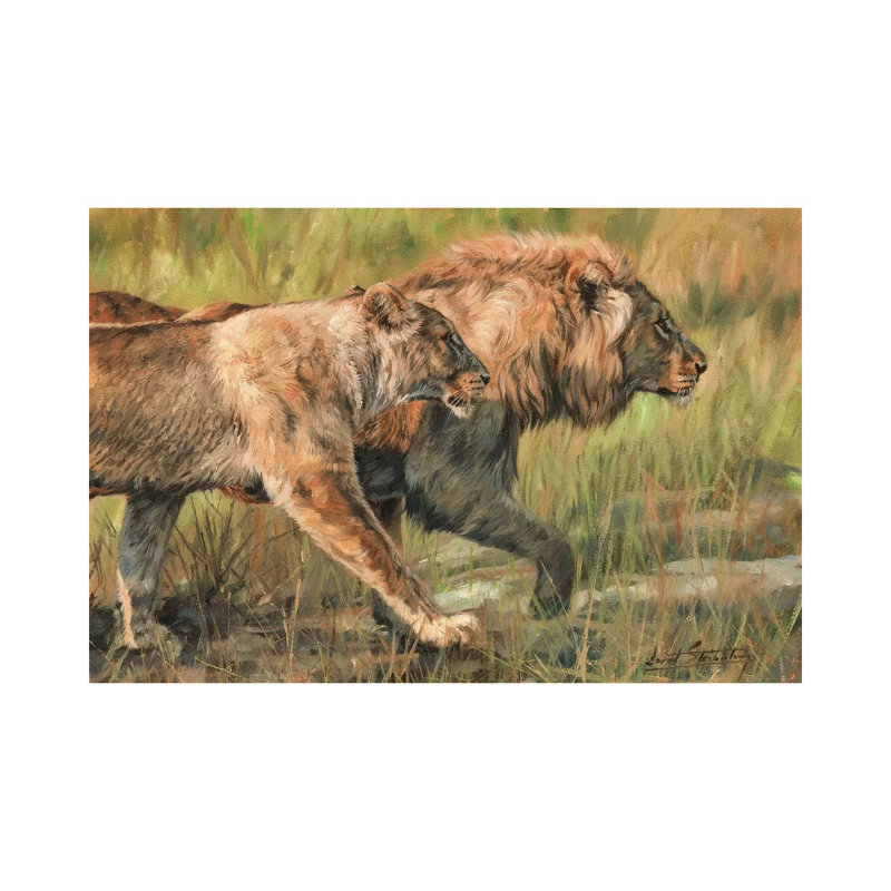 Lion And Lioness by David Stribbling - Wrapped Canvas Print, 66.04 cm H x 45.72 cm W x 1.91 cm D