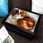 Breakfast Tray