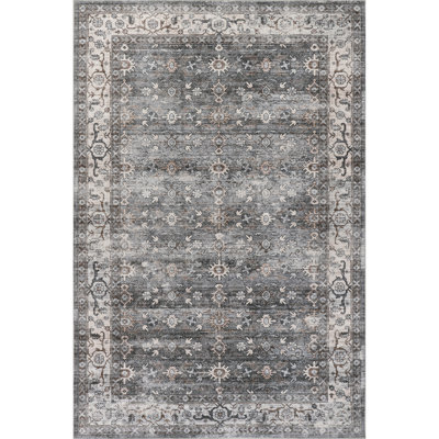 Amaan SplashGuard Medallion Machine Washable Area Rug