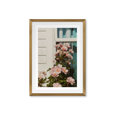 Plants & Flowers Print by Bock, Alicia