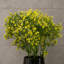 Artificial Arrangement-106401575