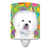 Bichon frisé gris