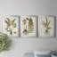 Fern Botanical IV - Ensemble de 3 peintures sur toile encadrées-131489270-131489274