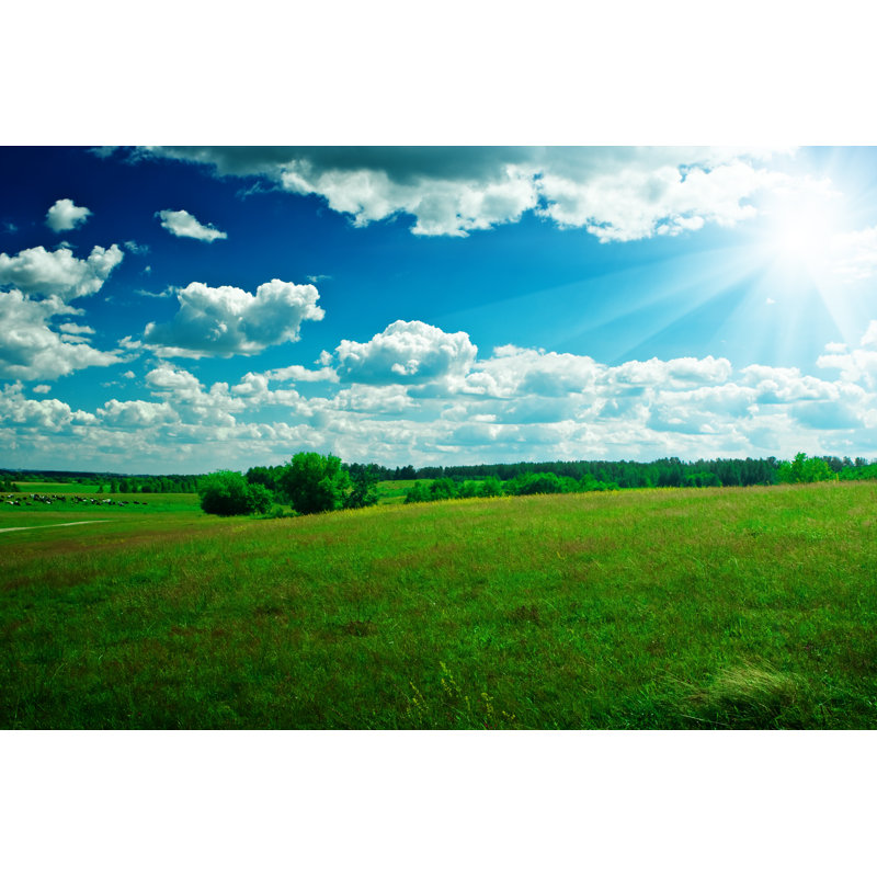 Photographie de champ vert sur toile par Mihalec, H 12 po x l 18 po x P 1,25 po