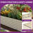 6X3x2ft Large Galvanized Raised Garden Bed Kit With Gloves,Cream-840954989-854798056