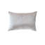 Heavy Metal Coins Pillow Cover & Insert