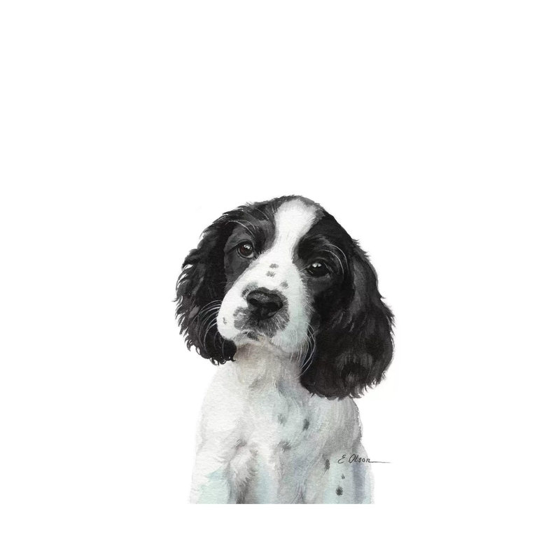 English Springer Spaniel Puppy - Painting on Canvas, Wrapped Canvas, 66.04cm H x 45.72cm W x 1.91cm D