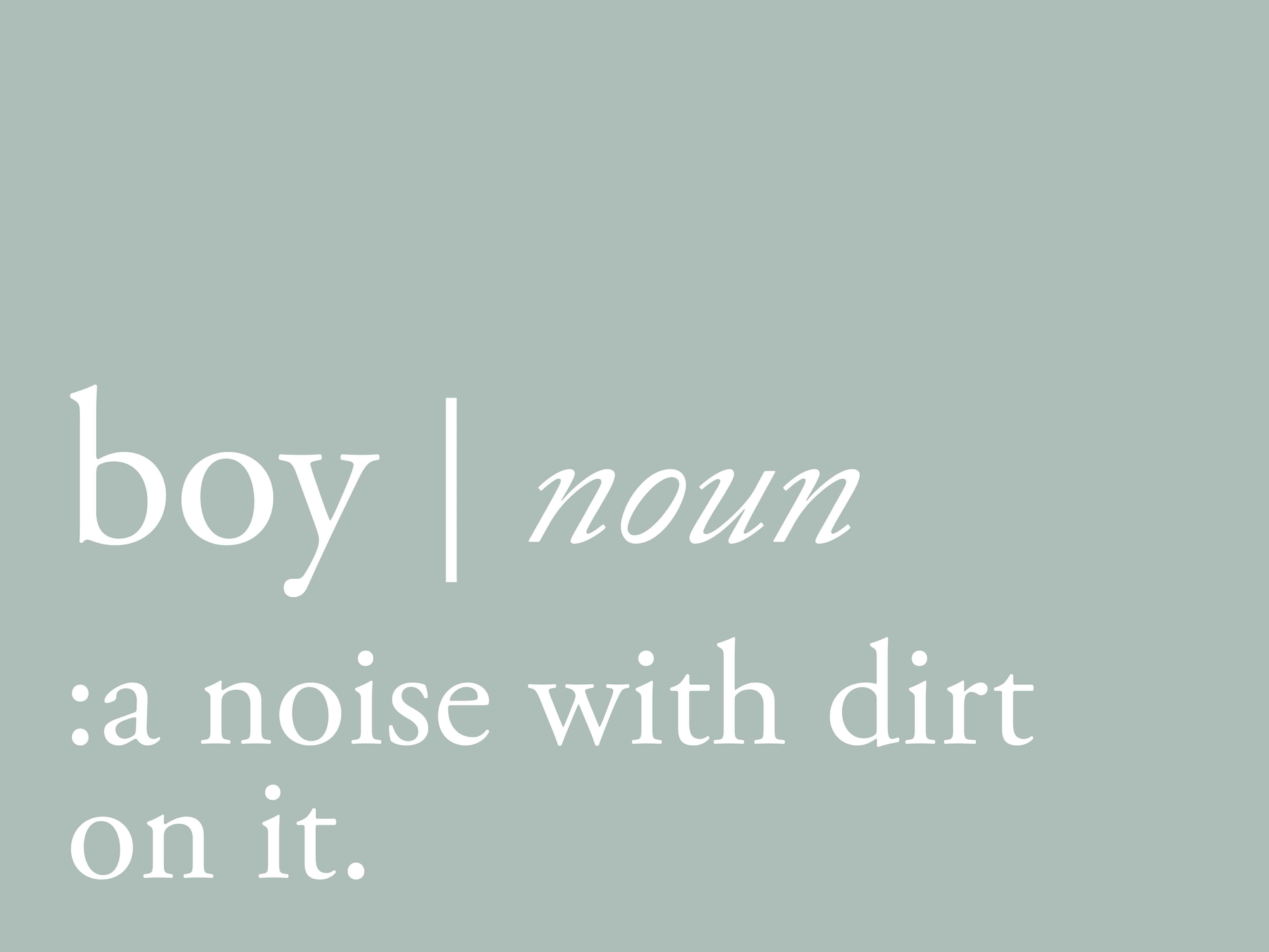 Trinx Boy Definition - Wrapped Canvas Textual Art | Wayfair