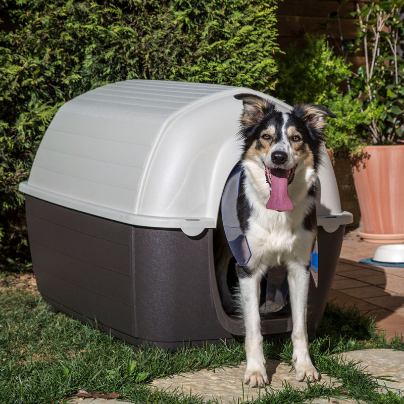 Pet Crate, 70.5cm H x 100.6cm W x 70cm D