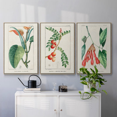 Turpin Tropical Botanicals I, ensemble de 3 toiles encadrées