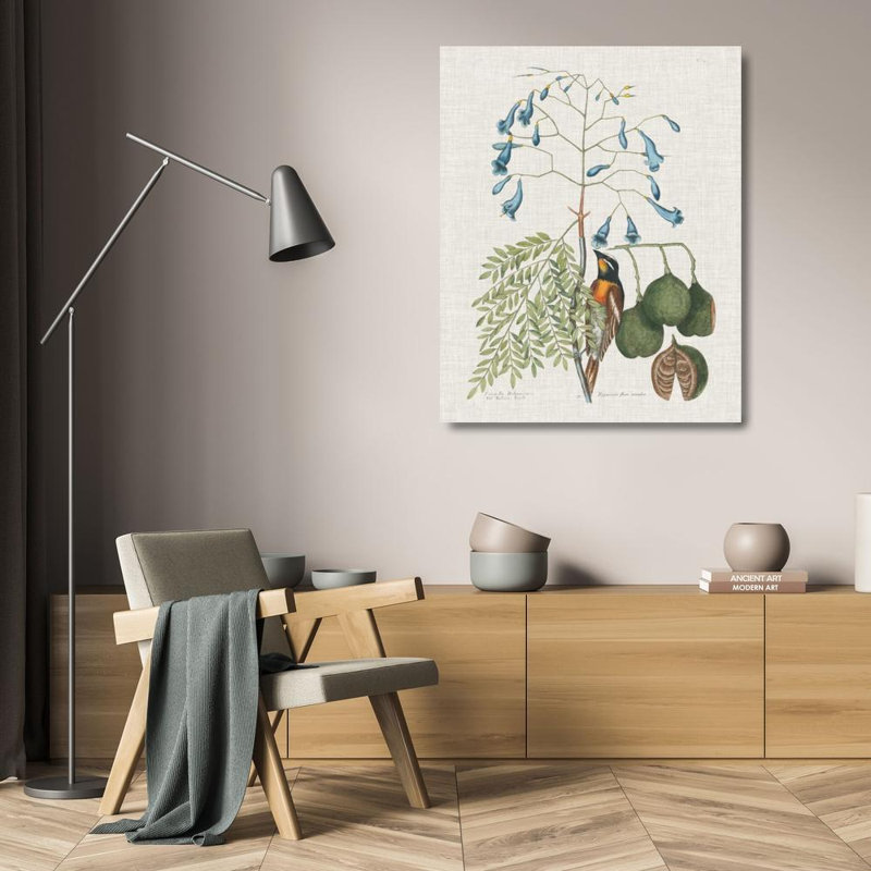 «Red Barrel Studio®» par Catesby, Mark, H 24 po x l 20 po