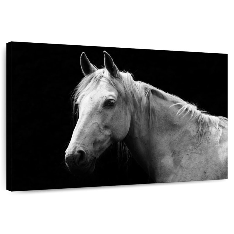 Brampt Horse Headshot, 34" H x 51" W