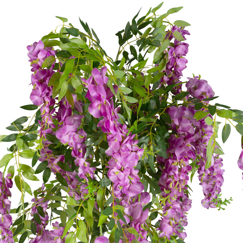 170cm Plant