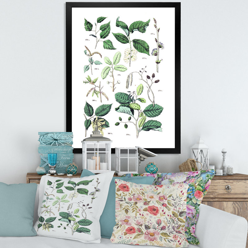 «Vintage Botanicals» - Peinture sur toile, Cadre photo noir, H 32 po x l 24 po x P 1 po