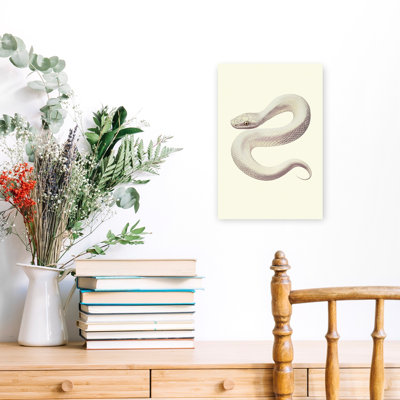 Elegant White Serpent Elegant Mystical Contemporary Snake Nature Wildlife Wall Art Print 1 Piece Wrapped Canvas Wall Art