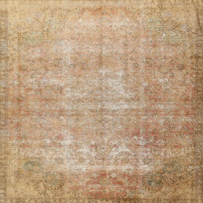 Oriental Indoor Rug