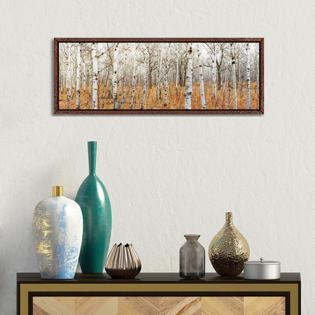 Birch Grove Panoramic by Nik Rave - Panoramic Print on Canvas