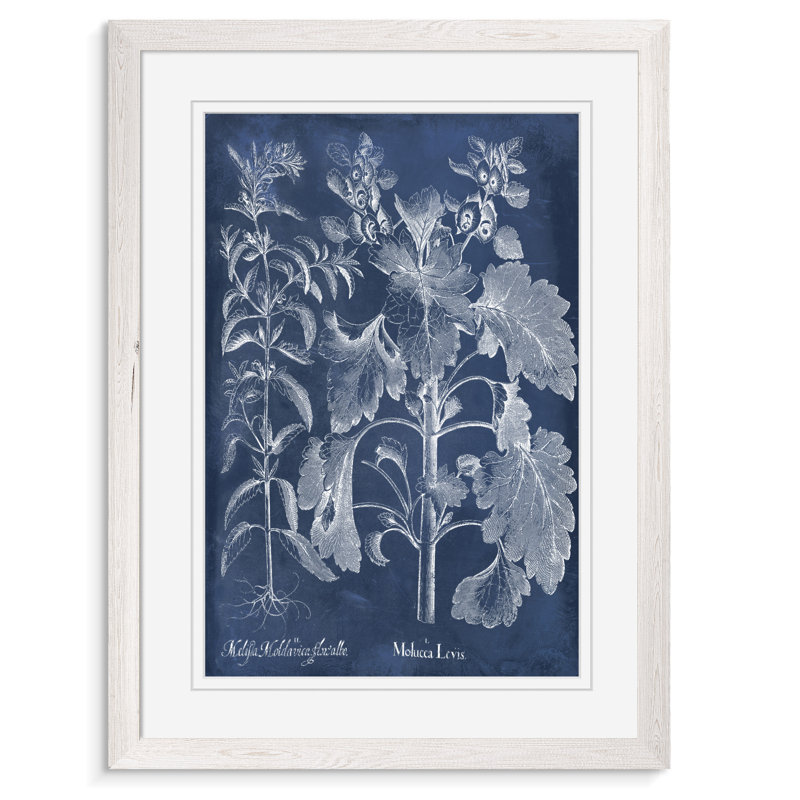 «Besler Leaves in Indigo I» par Paul Cezanne - reproduction d'art encadrée, H 24 po x l 18 po x P 1 po
