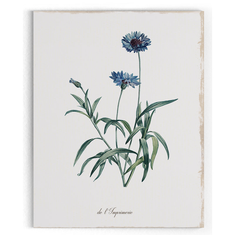 " Imperial Blue ", 16" H x 20" W x 1.5" D