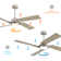 72" 4-Blade DC Motor Ceiling Fan with LED Light and Remote