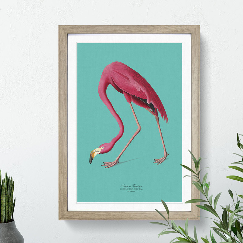 Flamingo in Teal by John Audubon - Picture Frame Graphic Art Print on MDF, Oak Framed, 48cm H x 36cm W x 2cm D