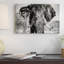" Elephant Portrait " by Philippe Hugonnard-23354510-72689664-72689665