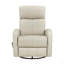 Fauteuil inclinable et oscillant 1Pc-1233819057