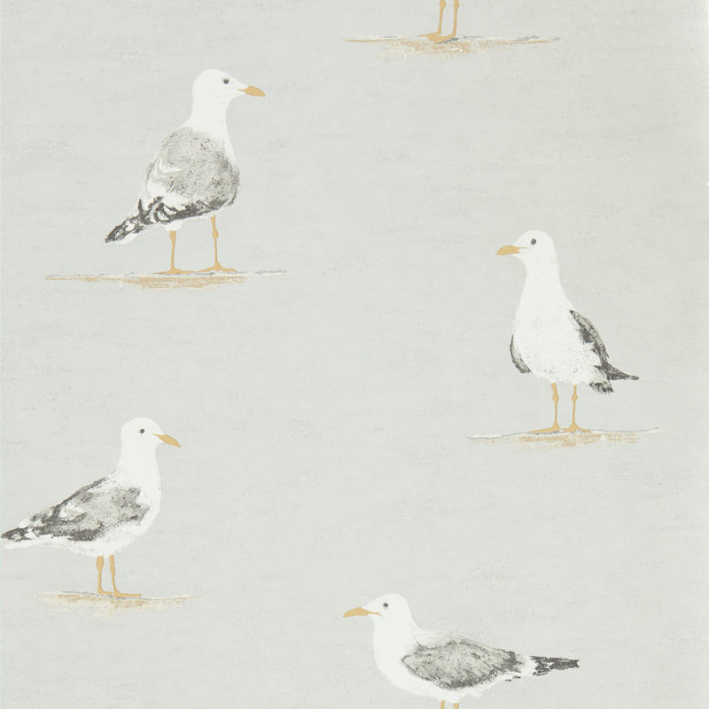Shore Birds Wallpaper, Gull
