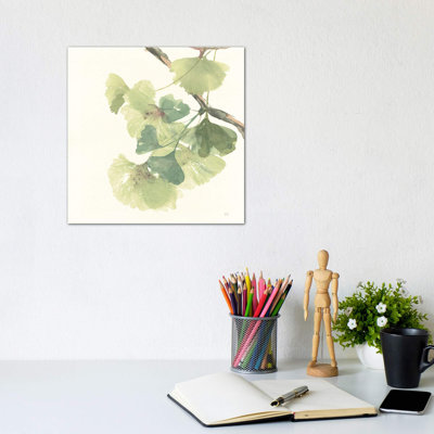 Light Gingko Leaves II by Chris Paschke - Wrapped Canvas Painting