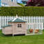 Poulailler d'extérieur 77 po avec nichoir - poulailler en bois pour le jardin. Protection contre les intempéries, accès facile, rampe, cour ventilée., Propre, plateau amovible, puits