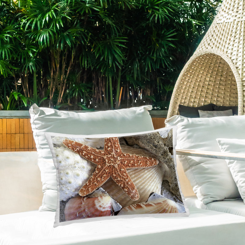 Coussin décoratif d'extérieur à motif d'étoiles de mer et de coquillages par Graffi * Tee Studios