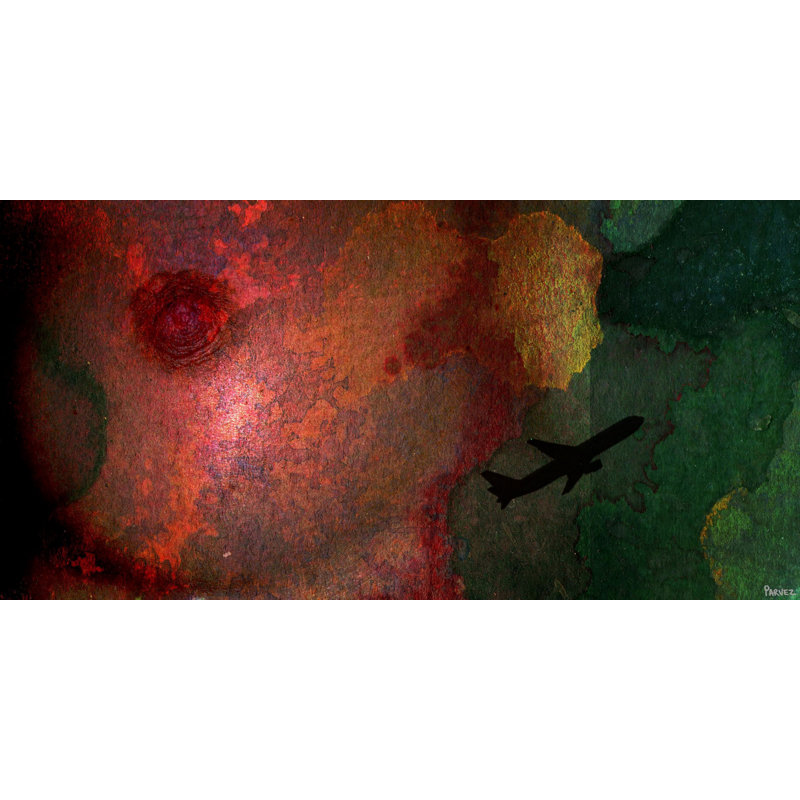 Parvez Taj - Wrapped Canvas Print, 30cm H x 61cm W