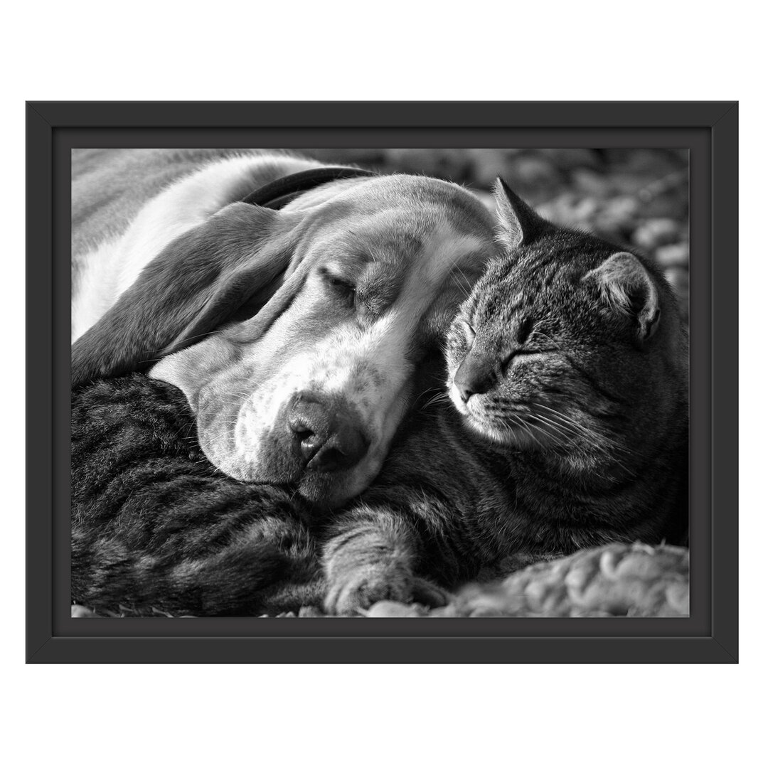 Gerahmtes Wandbild Katze und Hund kuschelnd Kunst B&W