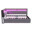 Daybed with Trundle & USB Charging Ports-300934542