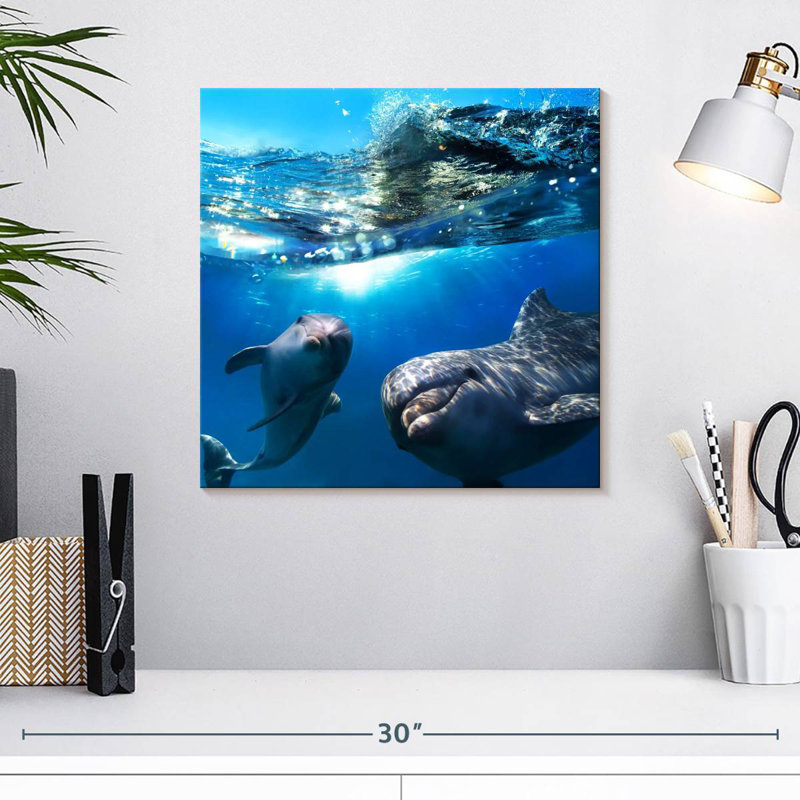 Brampt Playful Dolphins, 16" H x 16" W