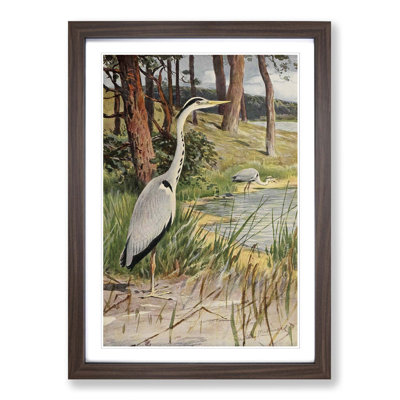 Vintage Grey Heron by Wilhelm Kuhnert - Framed Print